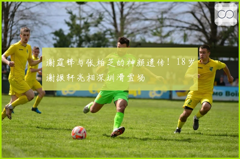 谢霆锋与张柏芝的神颜遗传！18岁谢振轩亮相深圳滑雪场