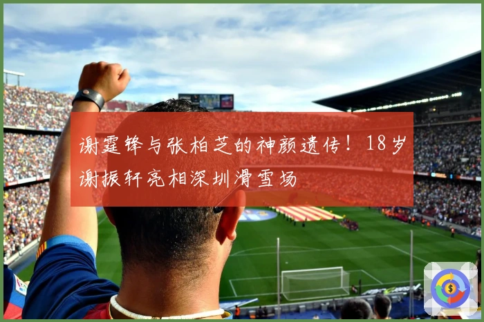 谢霆锋与张柏芝的神颜遗传！18岁谢振轩亮相深圳滑雪场