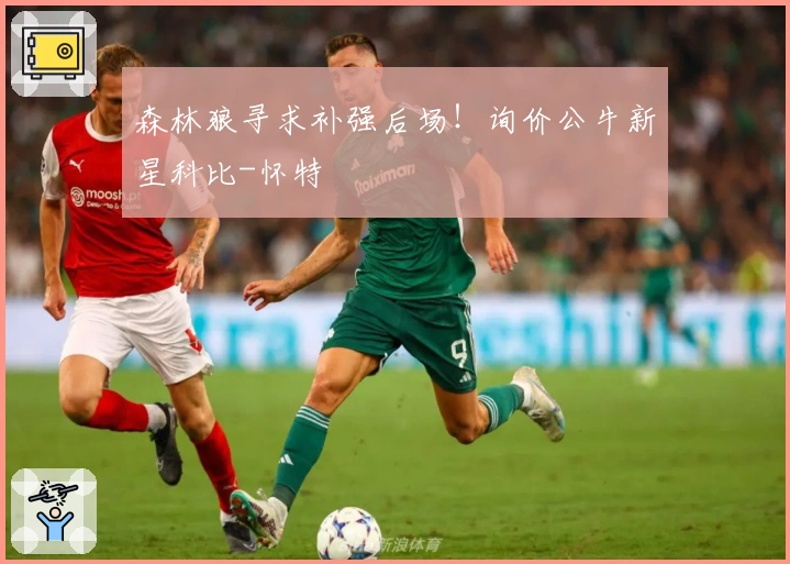 森林狼寻求补强后场！询价公牛新星科比-怀特