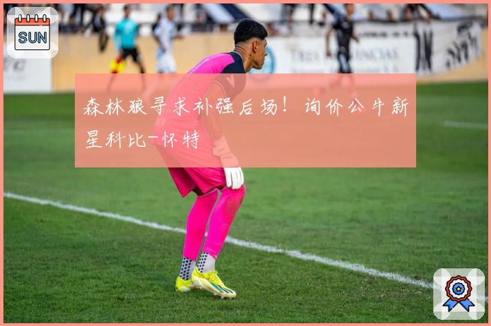 森林狼寻求补强后场！询价公牛新星科比-怀特